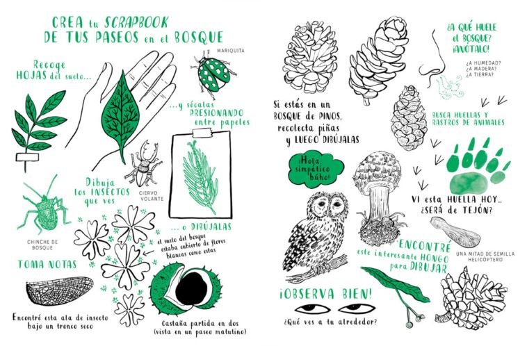hola, natura. explora, dibuja, crea y descubre la naturaleza