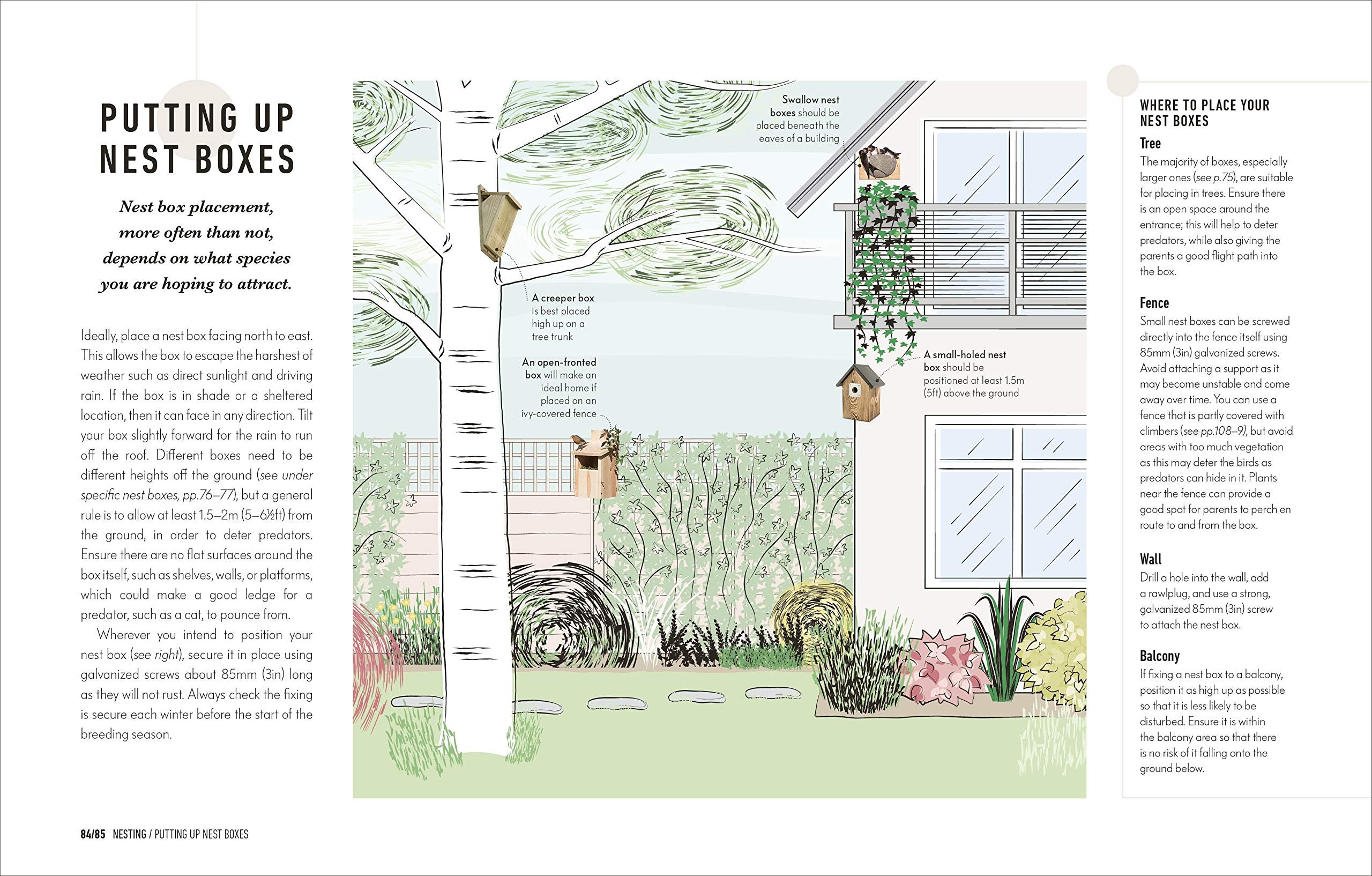 how to attract birds to your garden: food they like, plants they love, shelter they need