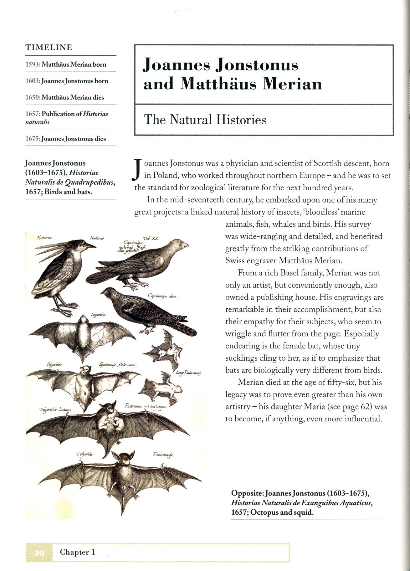 how zoologists organize things: the art of classification