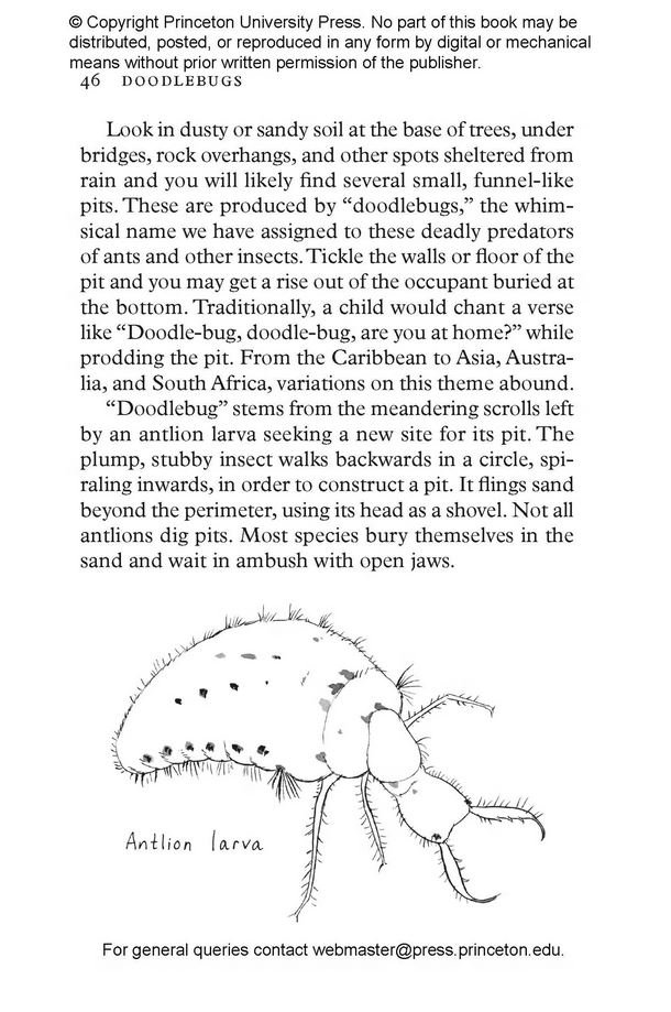 insectpedia. a brief compendium of insect lore