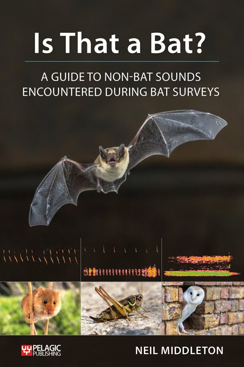 is that a bat?: a guide to non-bat sounds encountered during bat surveys