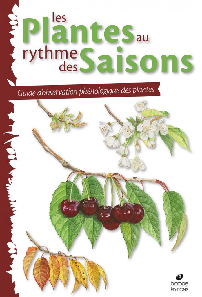 les plantes au rythme des saisons