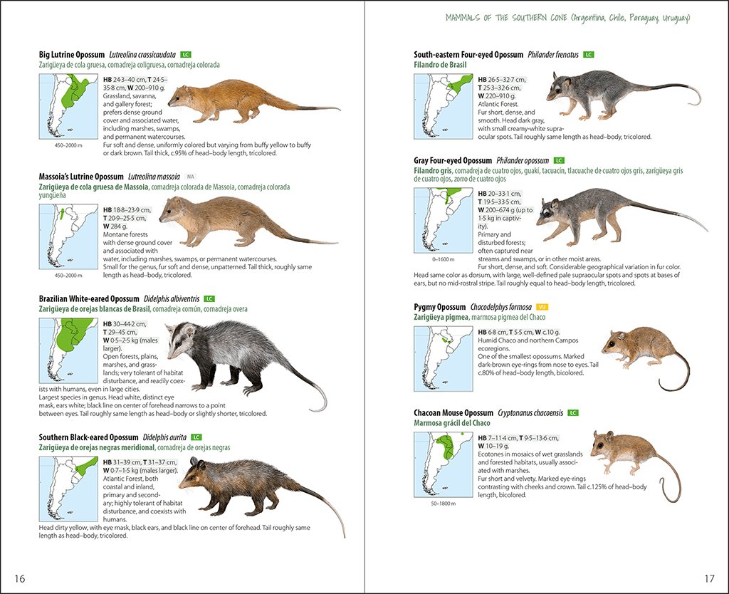 lynx illustrated checklists. mammals of the southern cone. argentina, chile, paraguay, uruguay