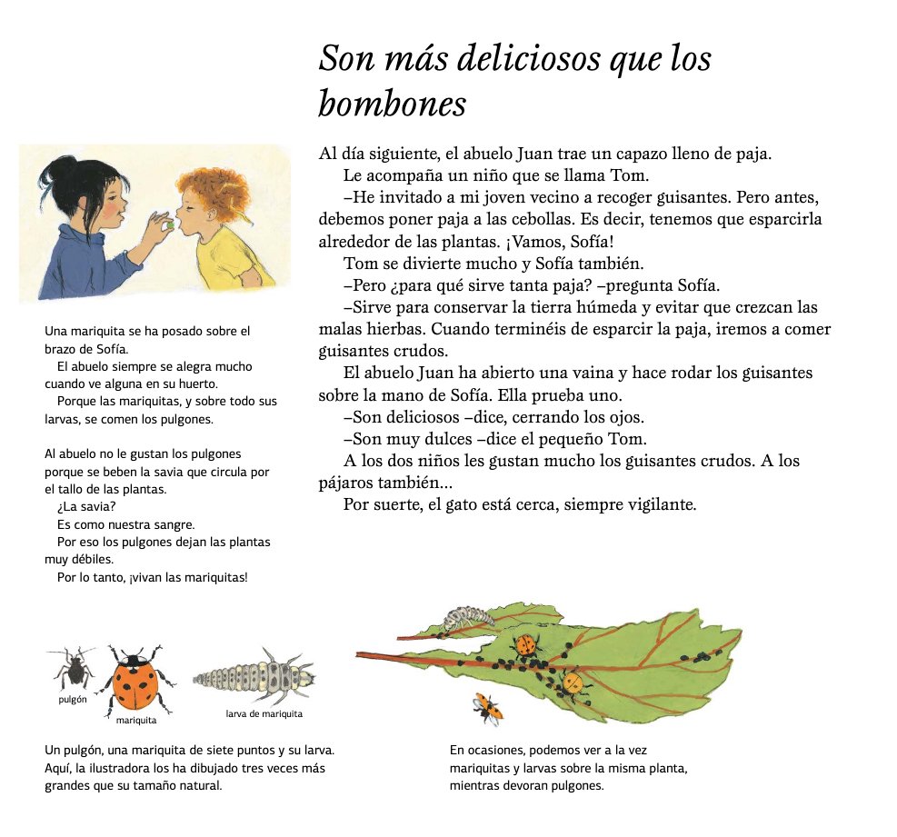 mi huerto