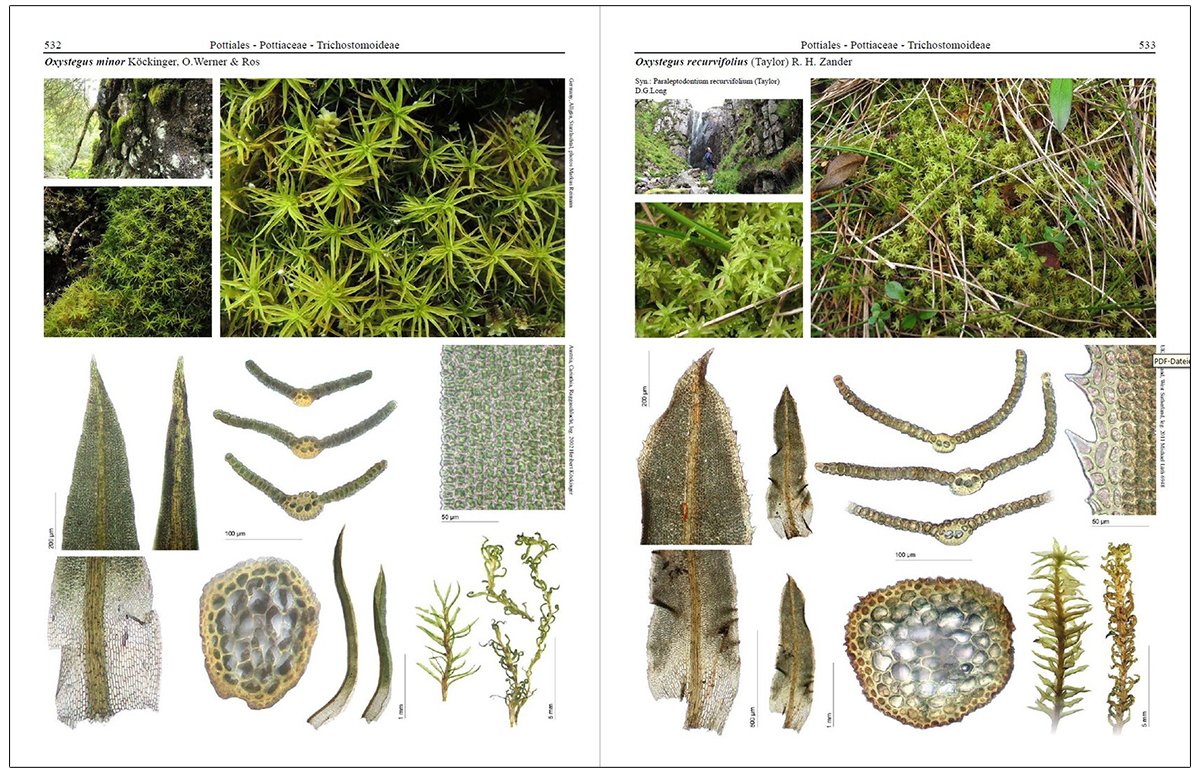 mosses of europe: a photographic flora 3 volume set