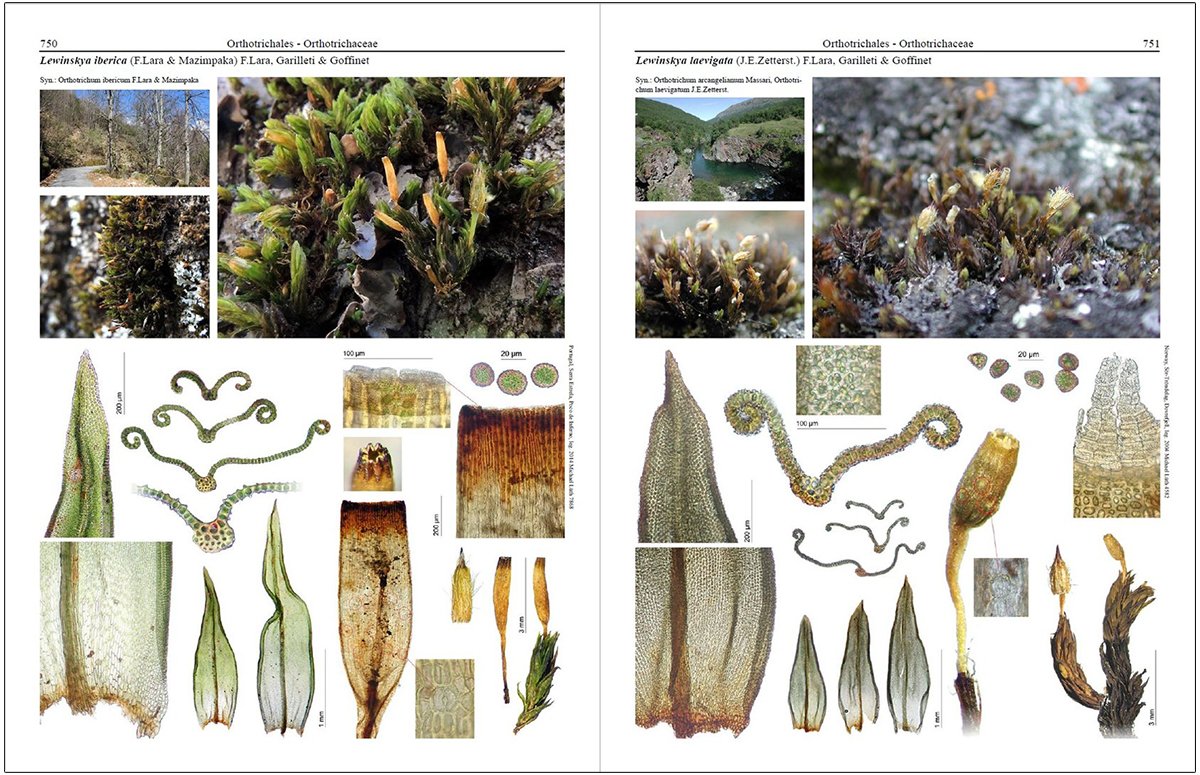 mosses of europe: a photographic flora 3 volume set