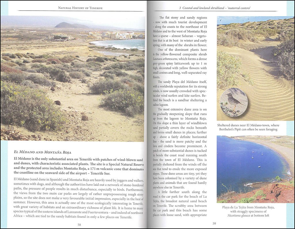 natural history of tenerife