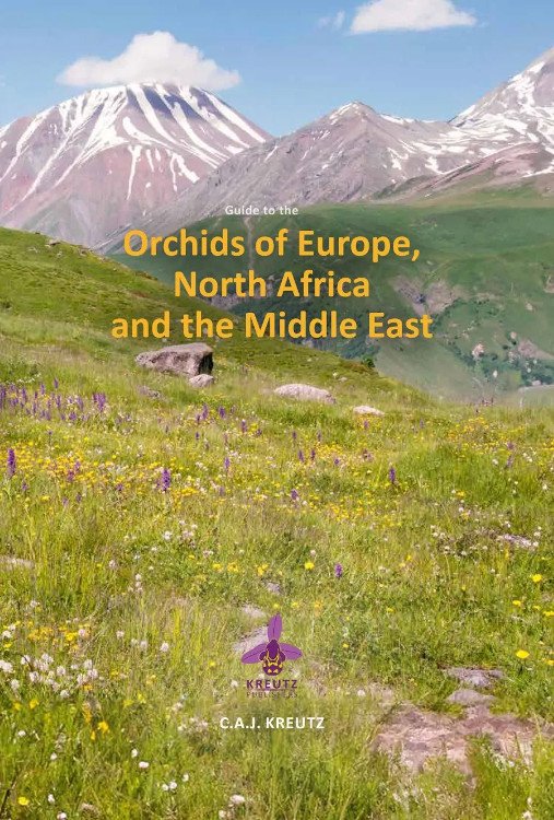 orchids of europe, north africa and the middle east