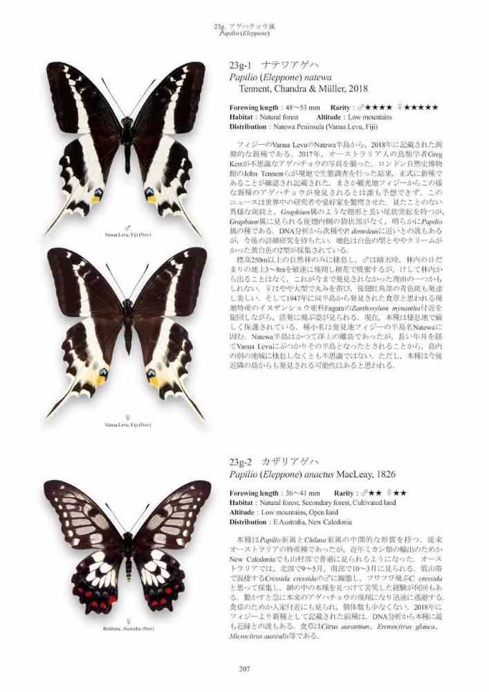 papilionidae of the world