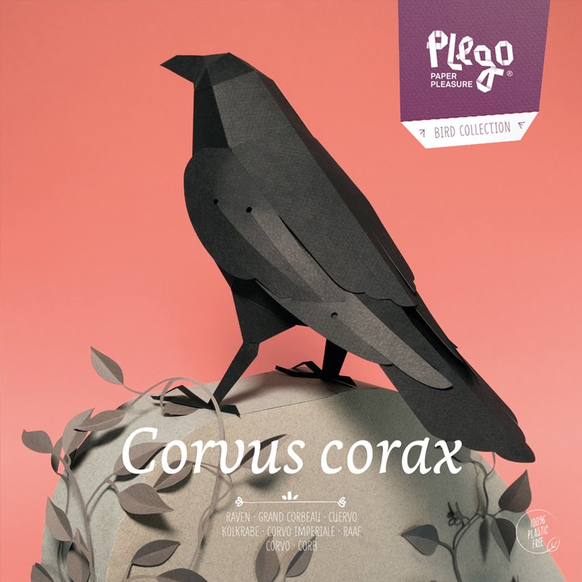 plegopaper- figura recortable de cuervo (corb)