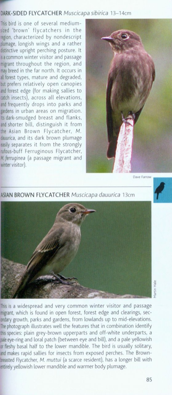 pocket photo guide to the birds of vietnam, cambodia and laos