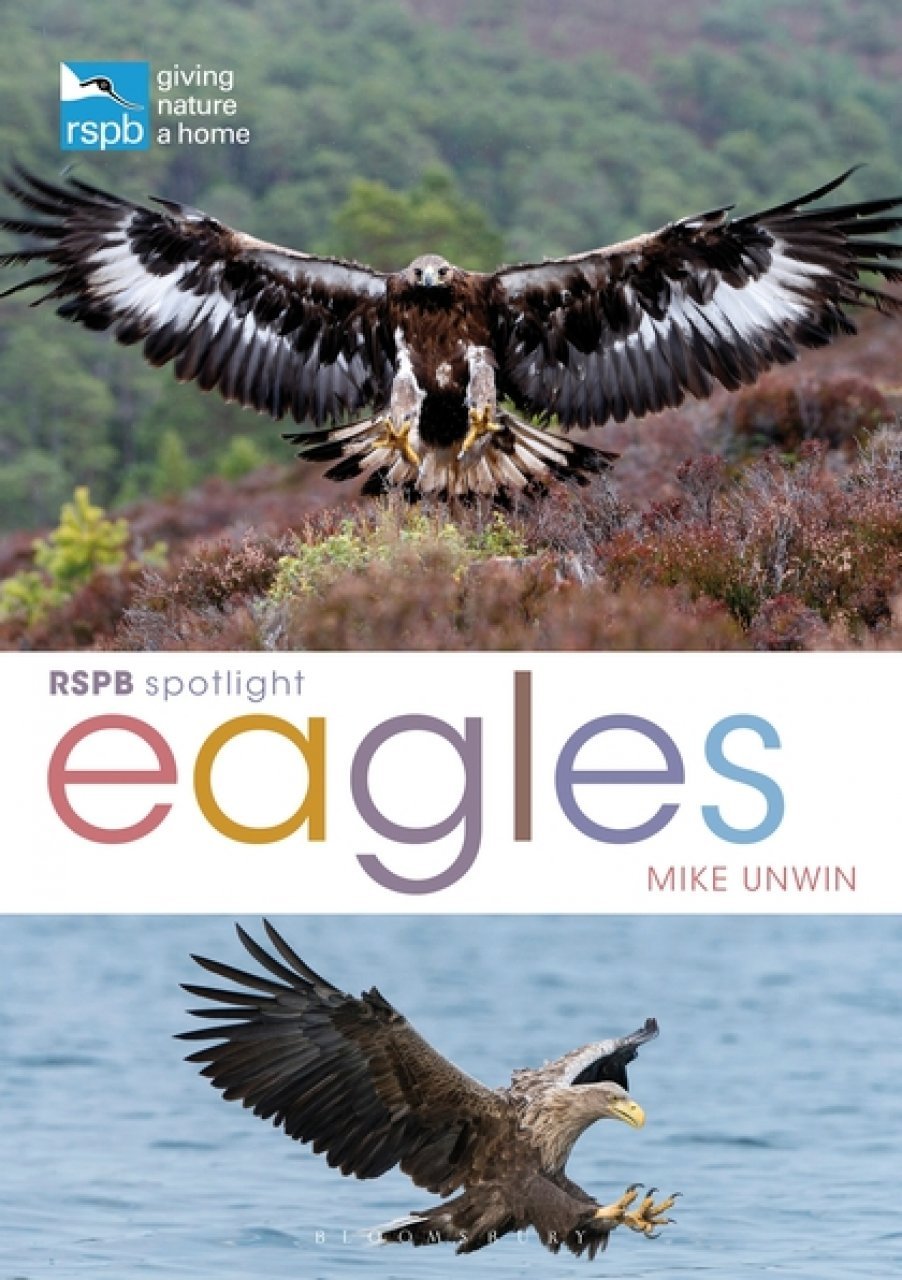 rspb spotlight: eagles