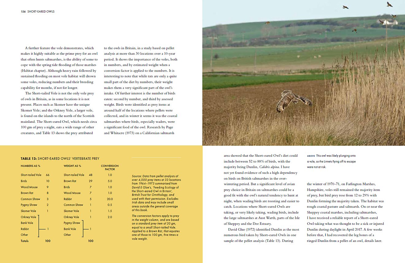 short-eared owls. an extensive study of short-eared owls in britain