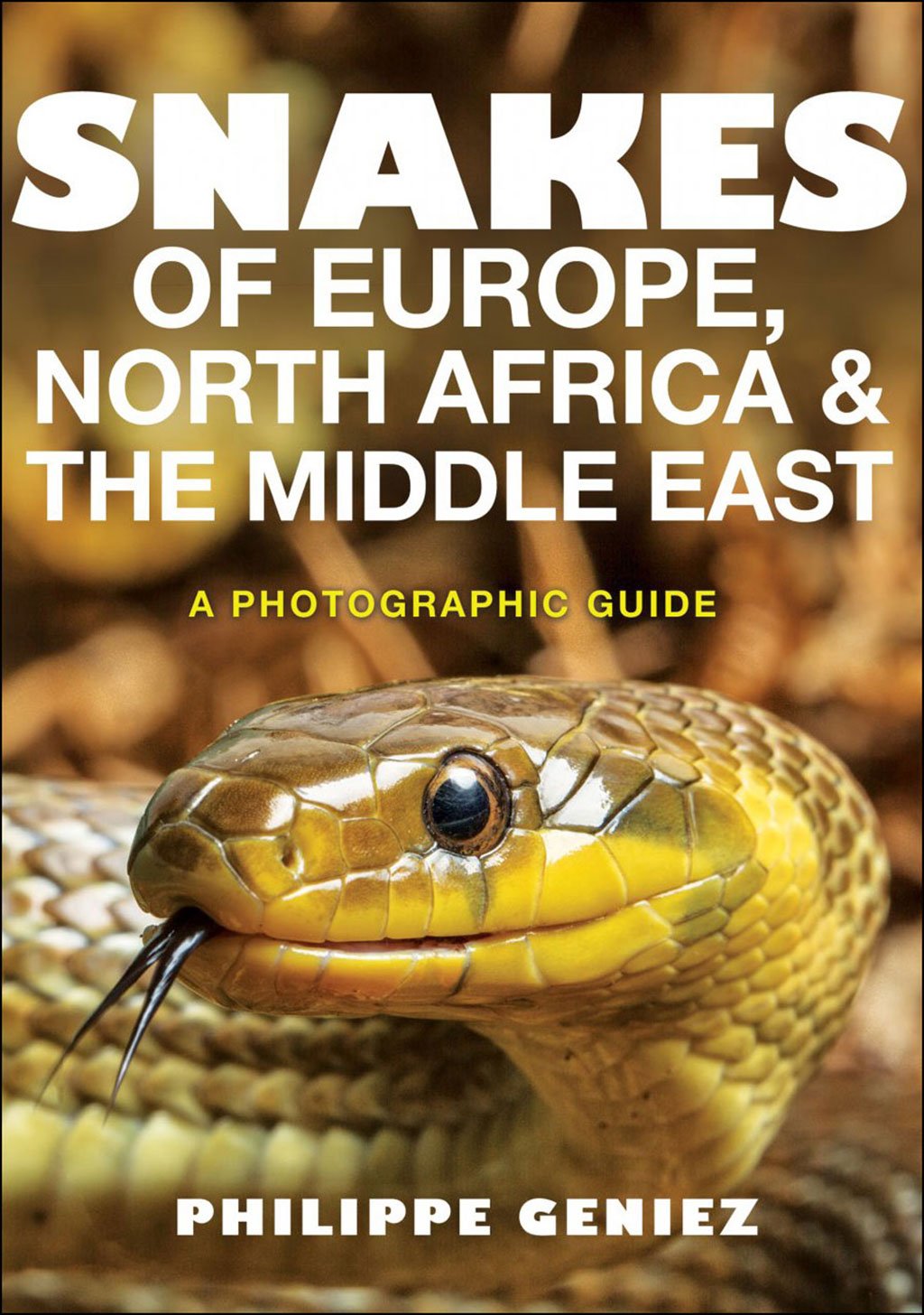 snakes of europe, north africa and the middle east