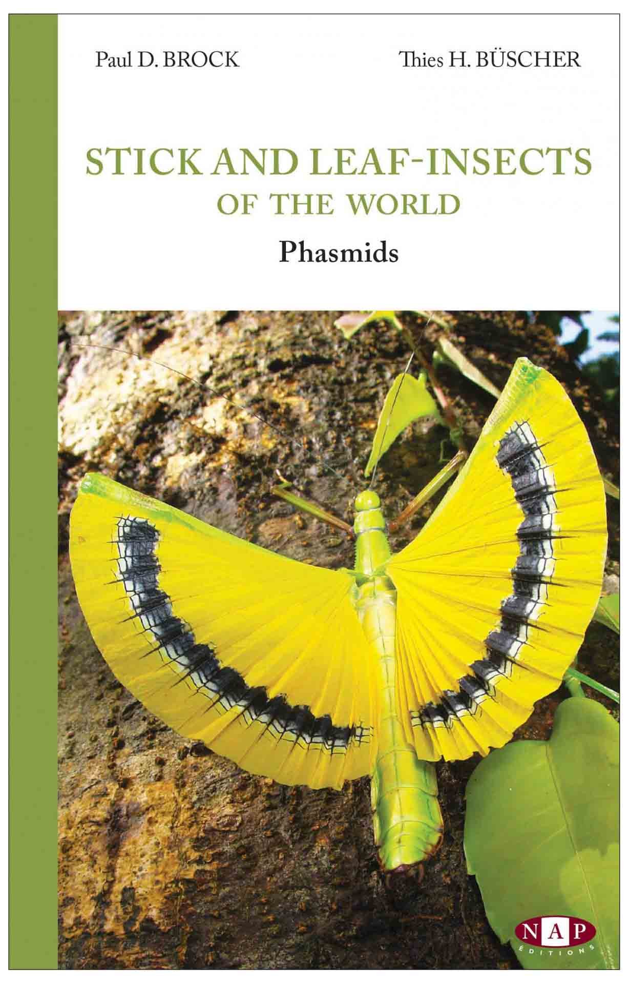 stick and leaf insects of the world
