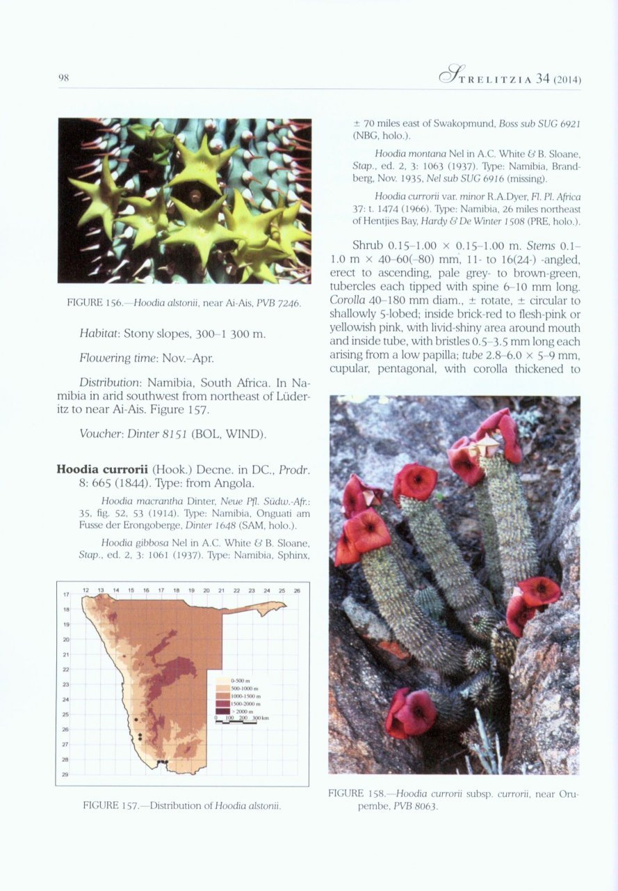 the apocynaceae of namibia
