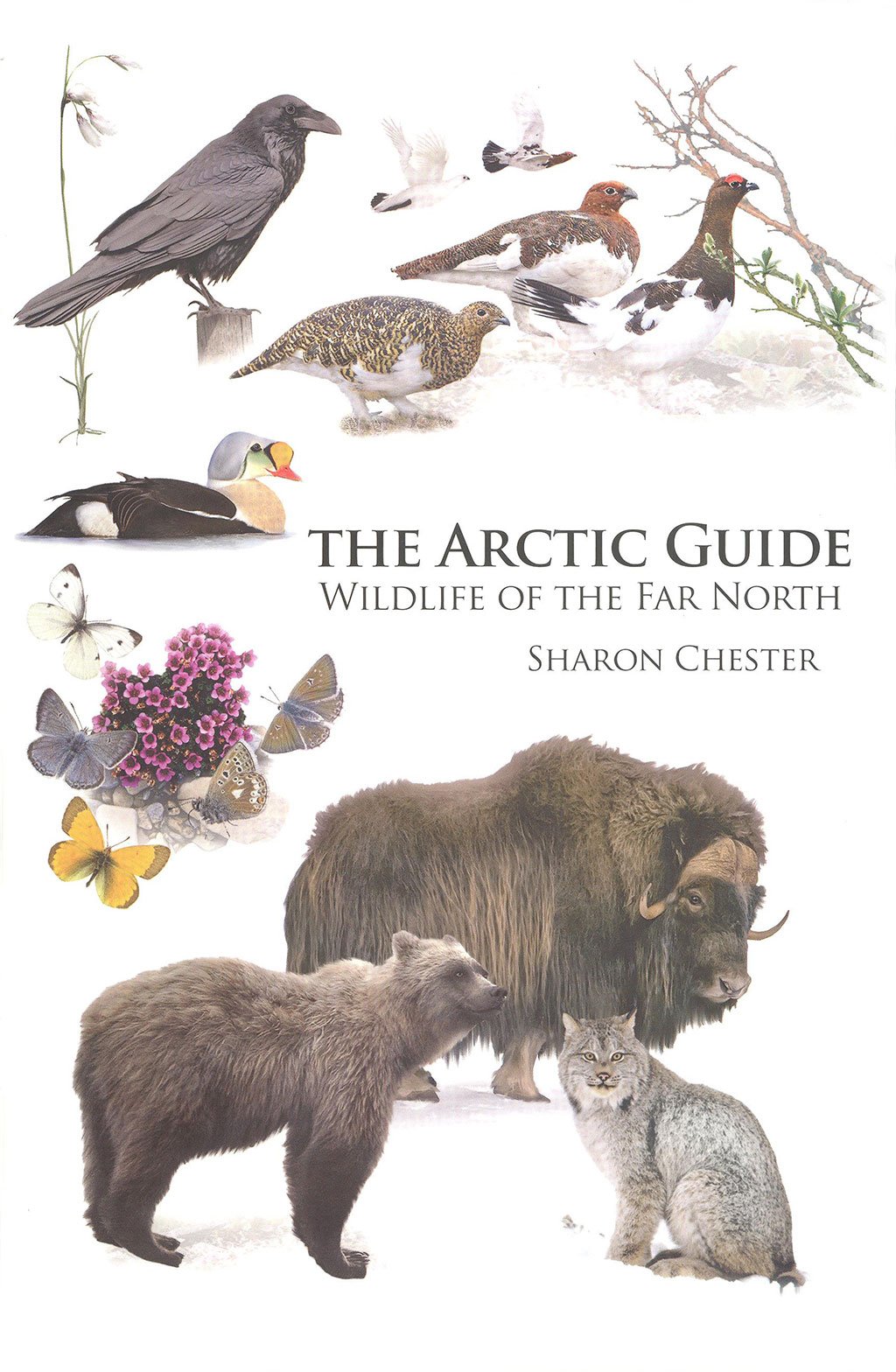 the arctic guide. wildlife of the far north