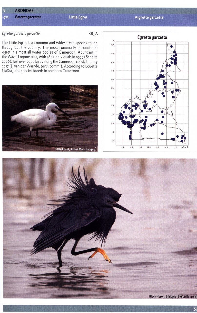 the birds of cameroon. their status and distribution