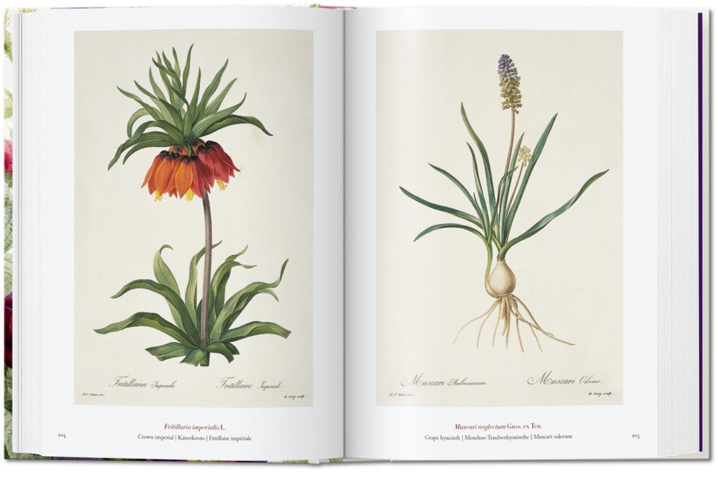 the book of flowers