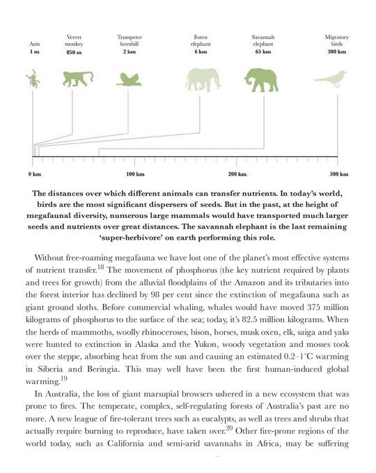 the book of wilding. a practical guide to rewilding, big and small