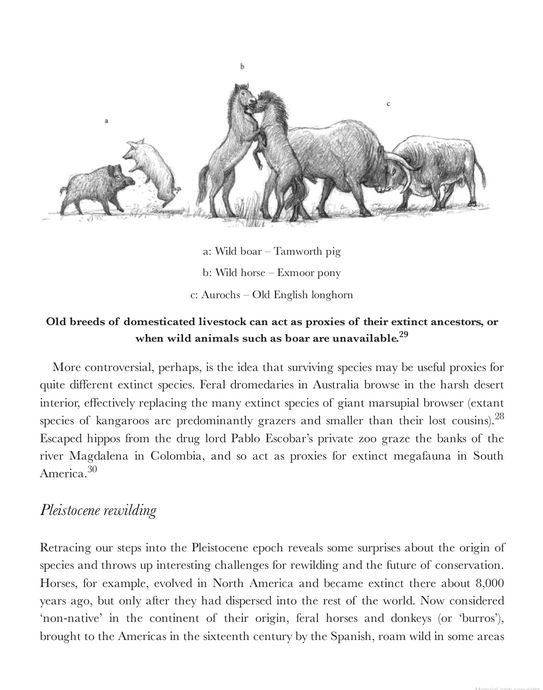 the book of wilding. a practical guide to rewilding, big and small