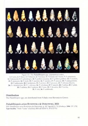 the freshwater gastropods of the west-palaearctis. volume 2: moitessieriidae, bythinellidae, stenothyridae