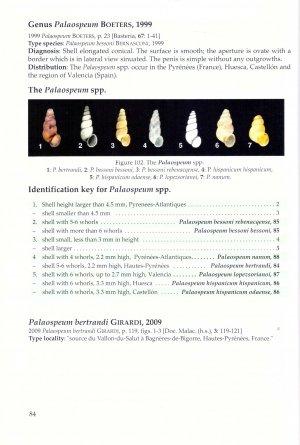 the freshwater gastropods of the west-palaearctis. volume 2: moitessieriidae, bythinellidae, stenothyridae