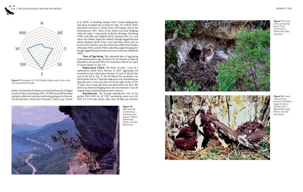 the golden eagle around the world: a monograph on a holarctic raptor
