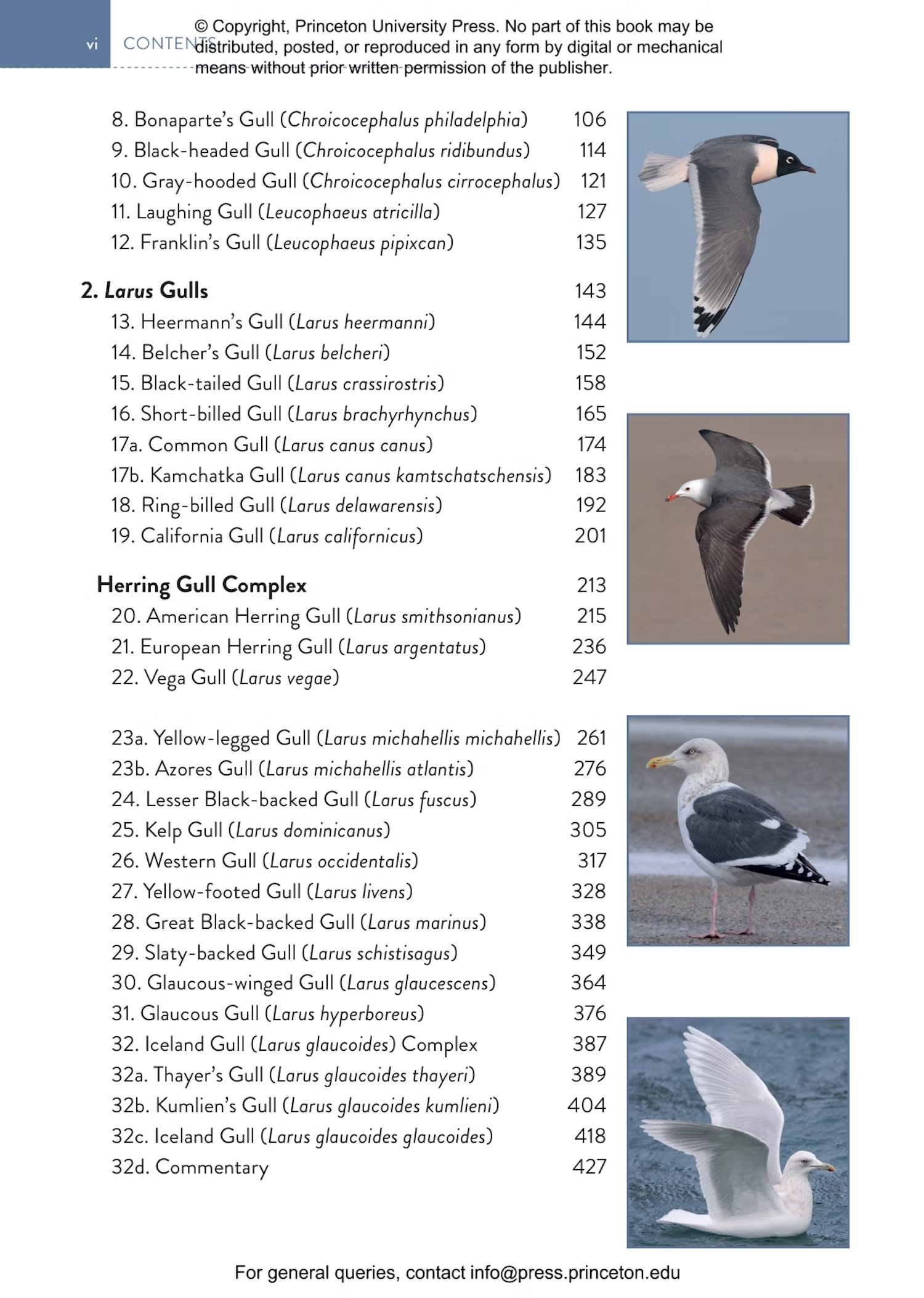 the gull guide north america