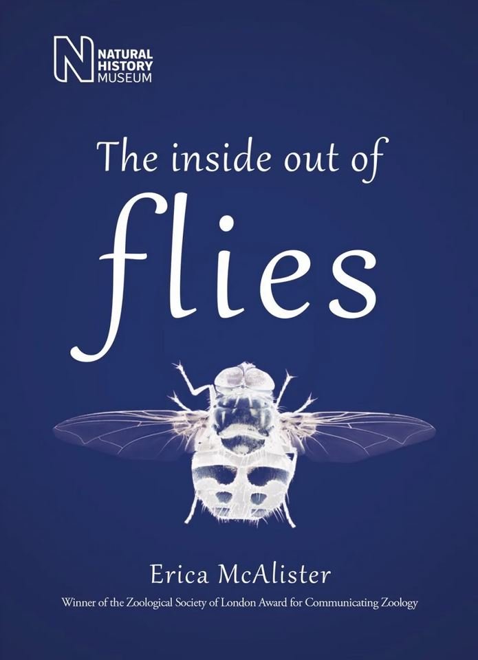 the inside out of flies