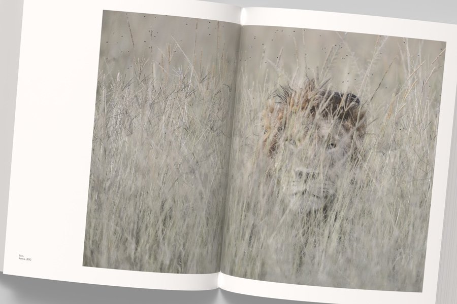 vincent munier, the monograph