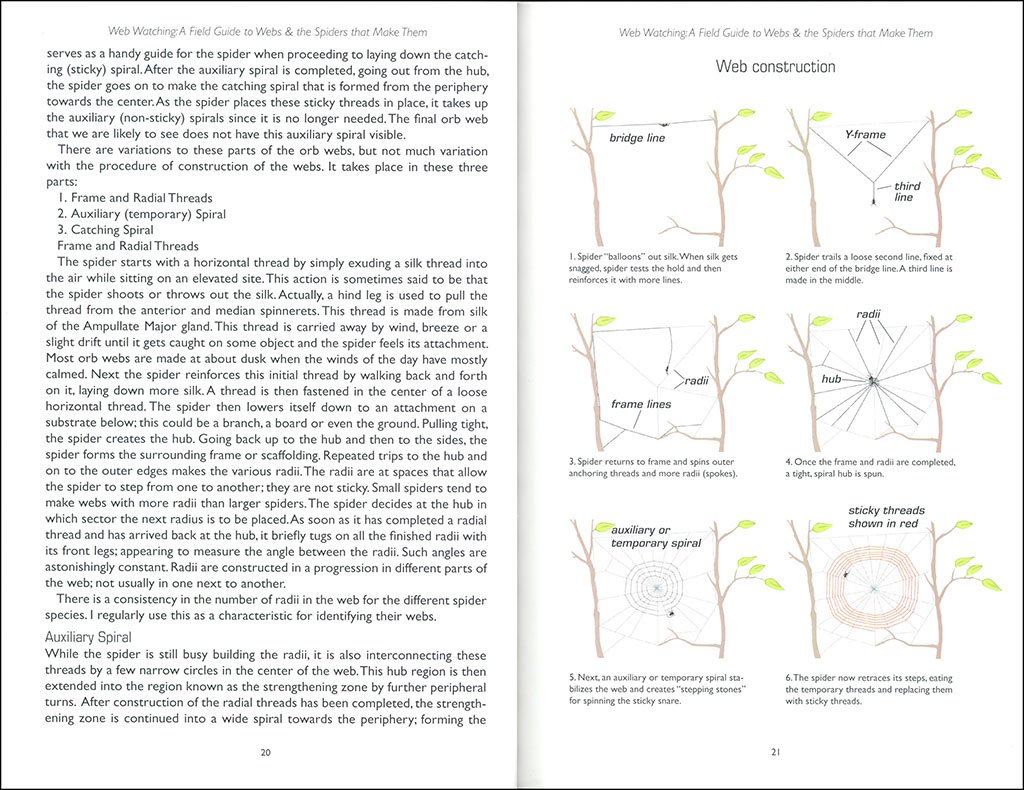 web watching: a guide to webs & the spiders that make them