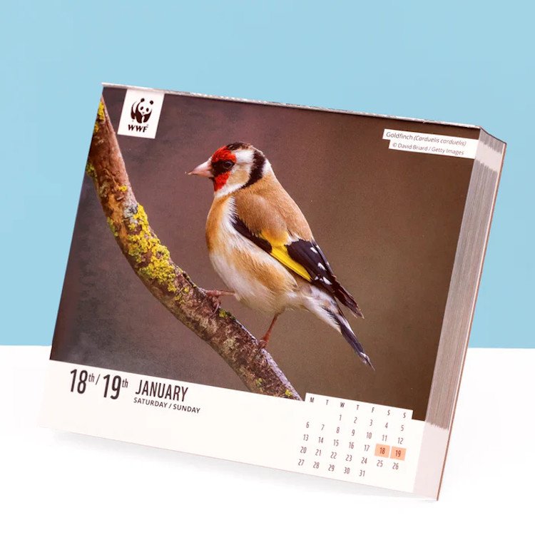wwf natural world box calendar 2025