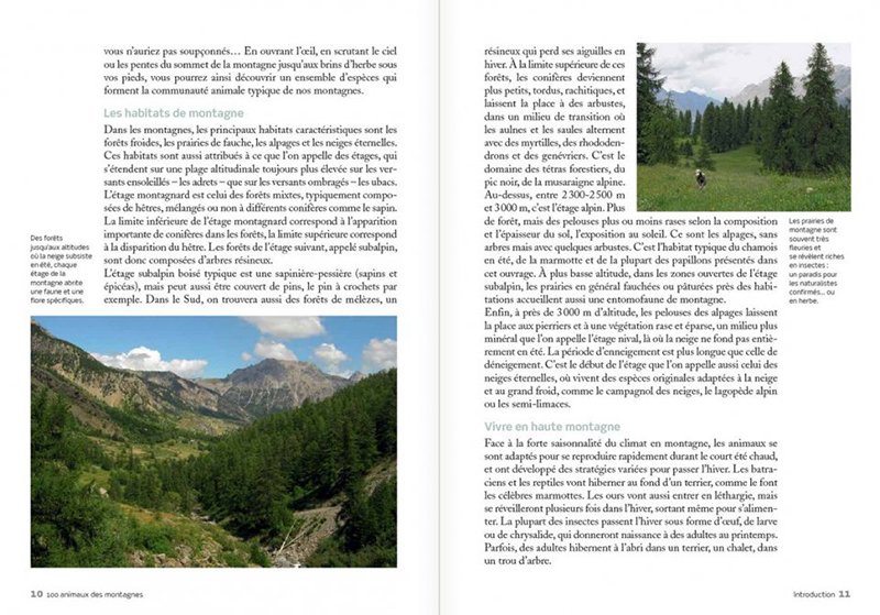 100 animaux des montagnes