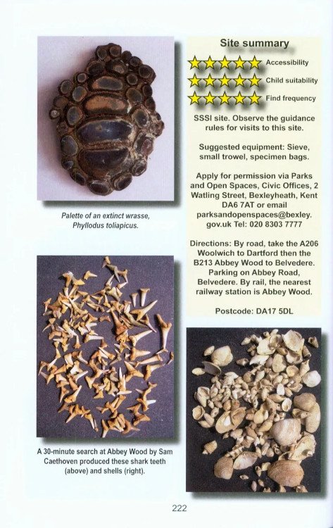 a guide to fossil collecting in england and wales