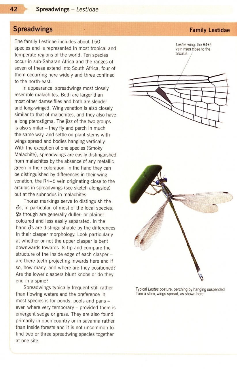 a guide to the dragonflies and damselflies of south africa: covering the 164 species of dragonfly and damselfly found in south africa, lesotho and swaziland