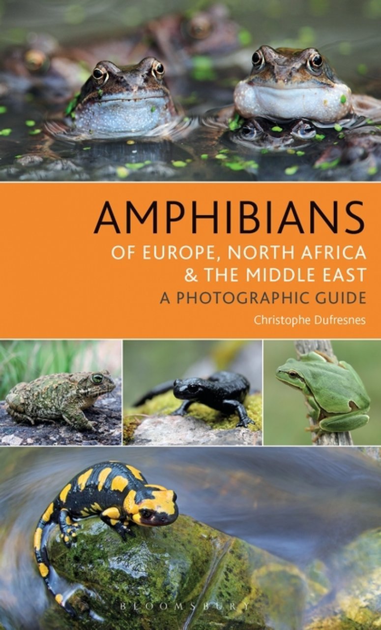 amphibians of europe, north africa & the middle east. a photographic guide