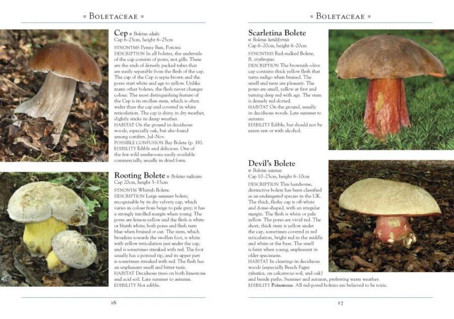 a naturalist's guide to the mushrooms of britain and northern europe