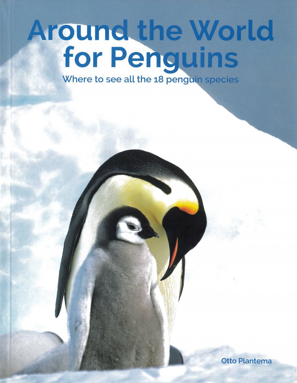 around the world for penguins. where to see all the 18 penguin species