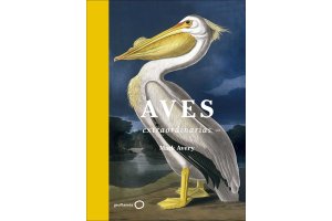 aves general