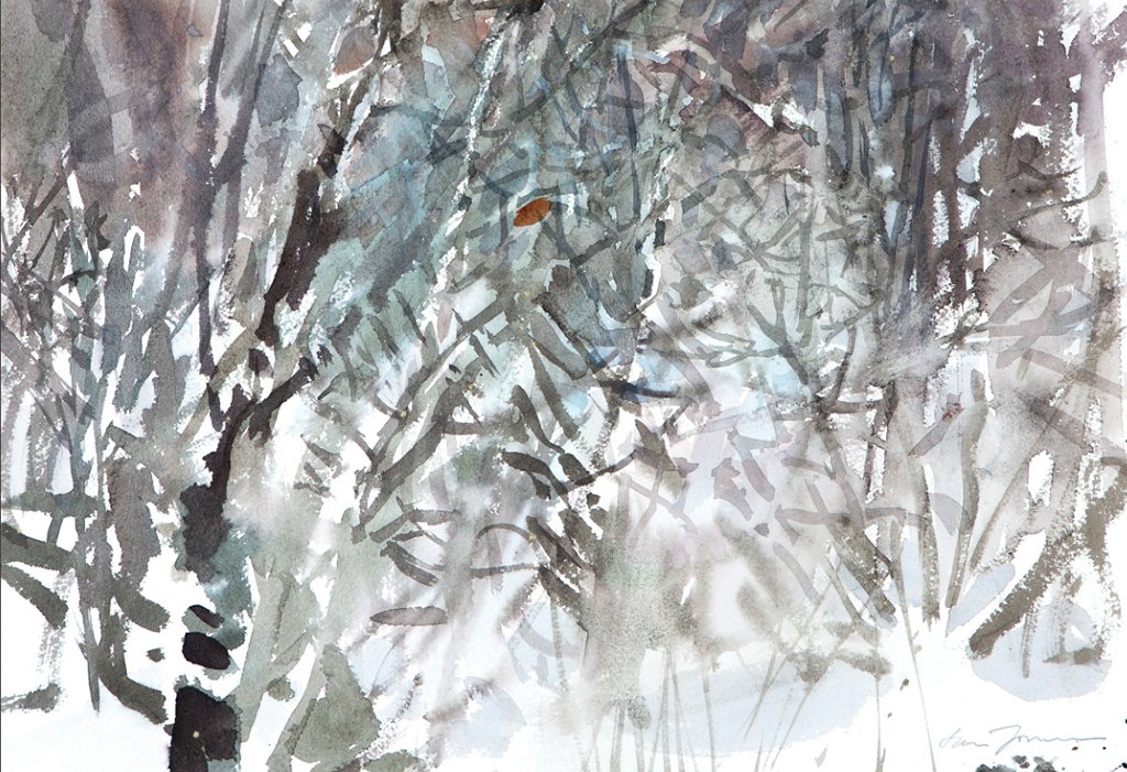 aves que veo en invierno