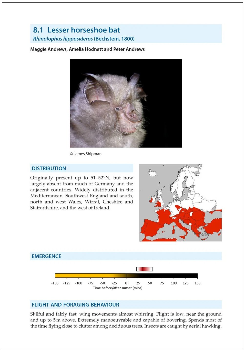 bat calls of britain and europe. a guide to species identification