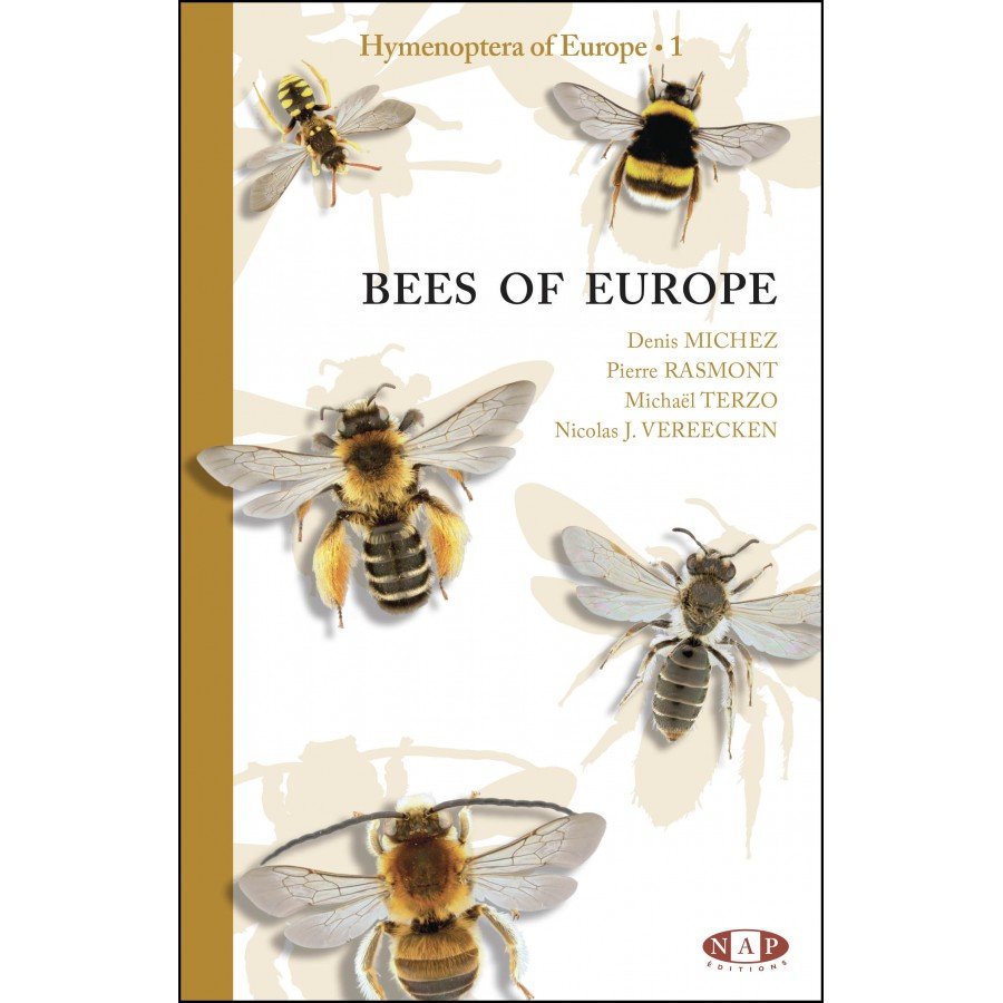 bees of europe - hymenoptera of europe 1