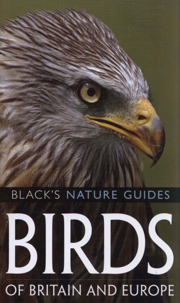 birds of britain and europe