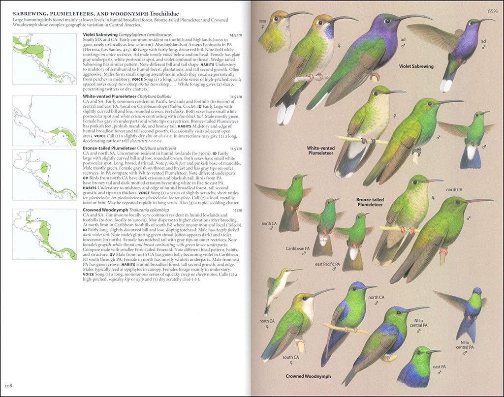 birds of central america: belize, guatemala, honduras, el salvador, nicaragua, costa rica and panama