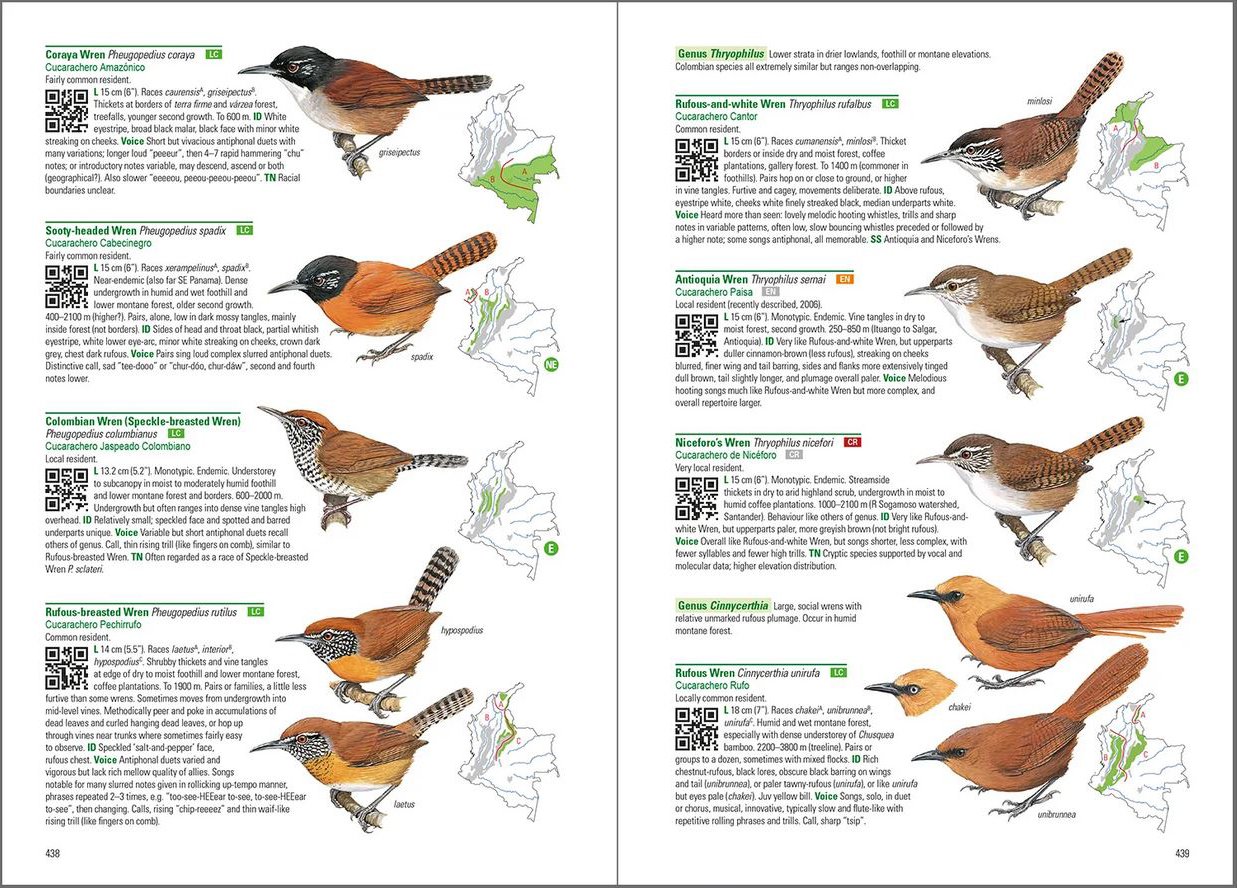 birds of colombia