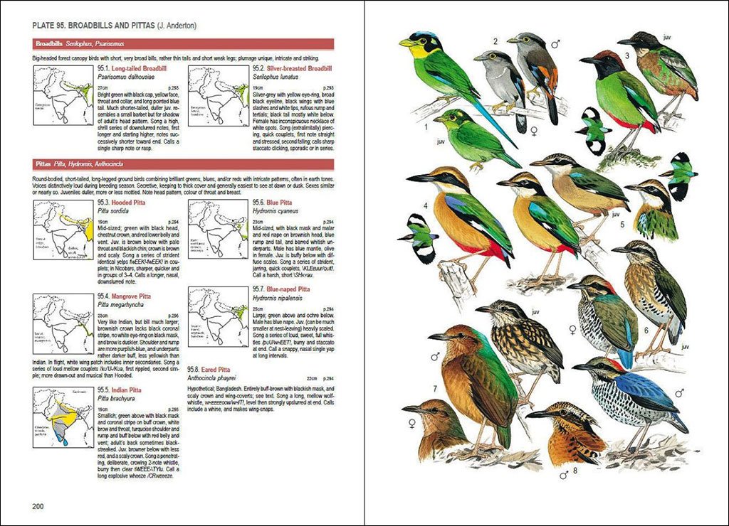 birds of south asia. the ripley guide. 2 volume set