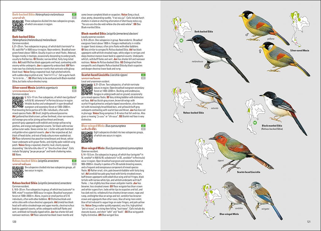birds of thailand