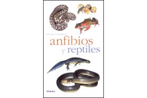 amfibis i rptils