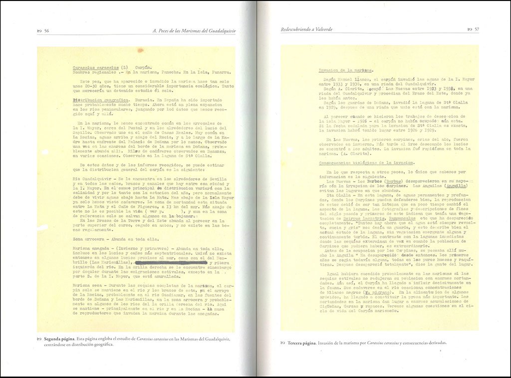redescubriendo a valverde. documentos inditos del fundador de doana